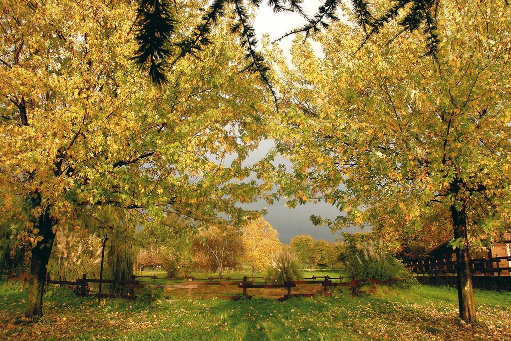 Agriturismo Monte Due Torri جنزانو دي روما المظهر الخارجي الصورة